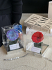 Exquisite Single Rose Acrylic Eternal Flower Box
