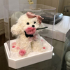 Rose Puppy Hydrangea Macrophylla Preserved Flower Teddy Doll