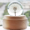 Dandelion Specimen Crystal Ball Eternal Flower Music Box Girl's Birthday Gift Girlfriend Valentine's Day