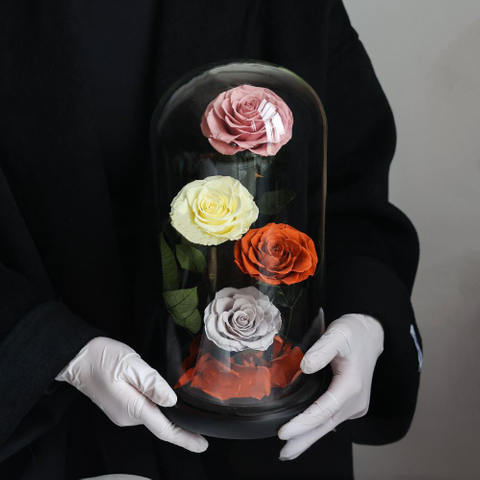 4 Roses Preserved Flower Glass Cover Flower Box