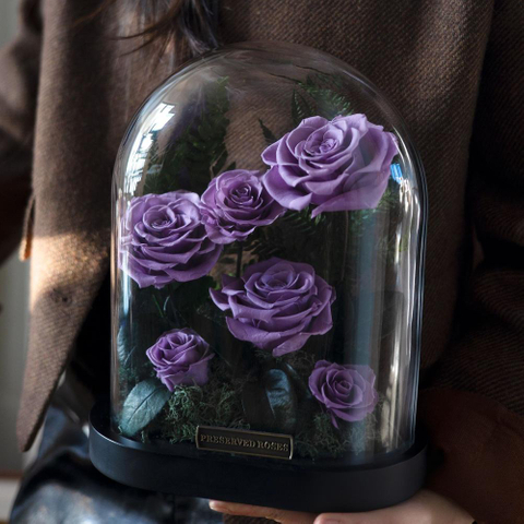 Rose Glass Cover Preserved Flower Ornament