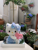 Holding A Heart-shaped Hello Kitty Preserved Flower