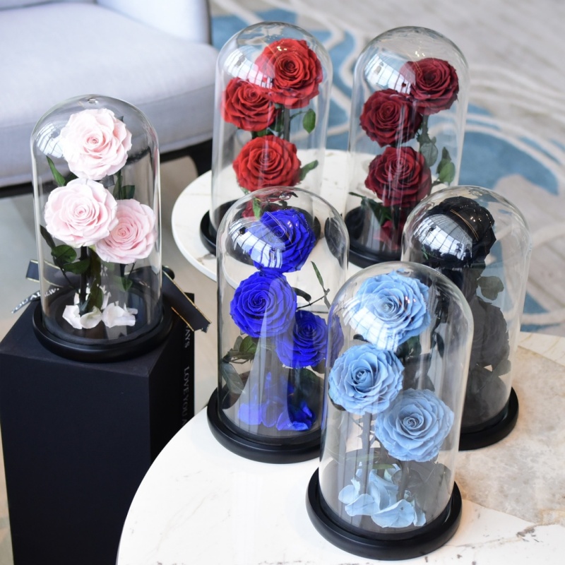 Glass cover Three Roses Preserved Flower