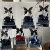 Butterfly Rose Small Square Box Preserved Flower