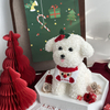 Maltese Dog Limited Edition Preserved Flower