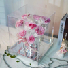 Eight Roses Hug Bucket Preserved Flower